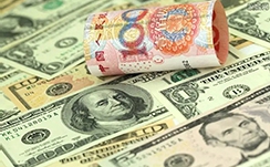 中金印度消费REIT：邱延冰，基金管理公司副总经理